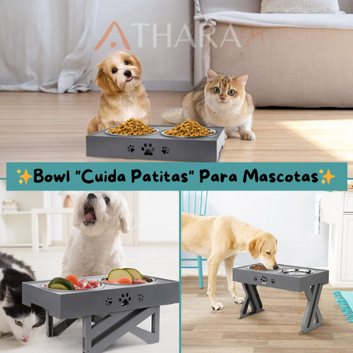 Bowl "Cuida Patitas" Para Mascotas✨